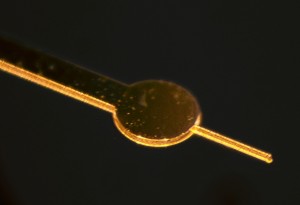 Elektrodenstruktur aus Gold