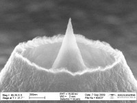 koaxiale Mikrospitze