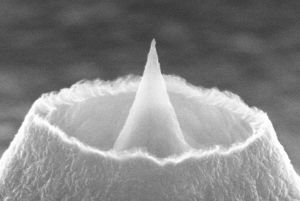 Mikrotechnisch hergestellte Spitze