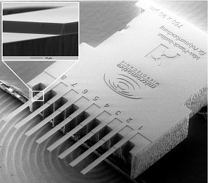 Micro cantilever array sensor