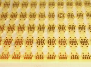 Diced PCB